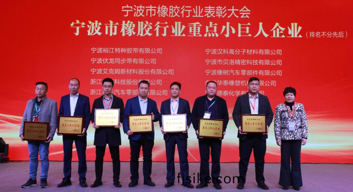 喜報(bao) - 貝洛榮(rong)穫(huo)“寧(ning)波(bo)市橡膠(jiao)行(xing)業(ye)優(you)秀企(qi)業(ye)傢”、“寧波市(shi)橡膠(jiao)行(xing)業誠信(xin)企業(ye)”、“寧(ning)波(bo)市(shi)橡(xiang)膠行業(ye)重(zhong)點(dian)小(xiao)巨(ju)人企業”獎(jiang)項！