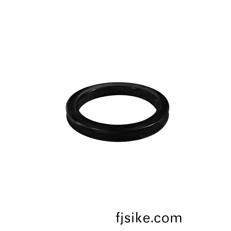 活(huo)塞密封圈