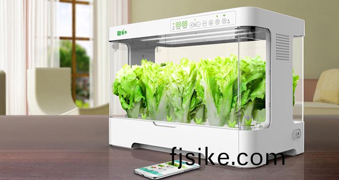 年(nian)輕人(ren)流(liu)行(xing)種地(di) 種(zhong)植(zhi)機能(neng)否(fou)再次(ci)騰飛